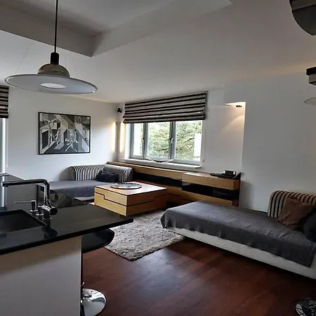 Apartament Apartament Willa Ziemia Z Tarasem Na Dachu *